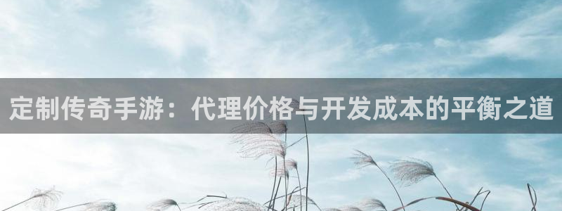 28大神报数：定制传奇手游：代理价格与开发成本的平衡之道
