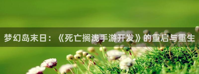 大神吧pc28预测：梦幻岛末日：《死亡搁浅手游开发》的重启与