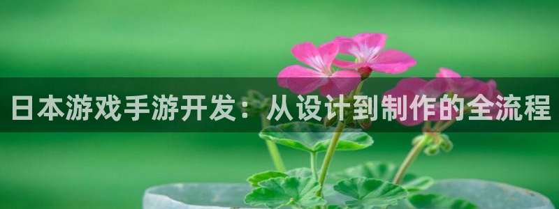 完美电竞论坛算法：日本游戏手游开发：从设计到制作的全流程