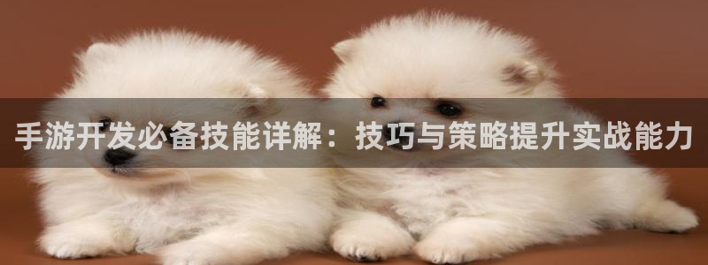 28大神预测网：手游开发必备技能详解：技巧与策略提升实战能力