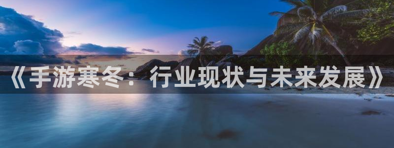 28大神吧论坛没了：《手游寒冬：行业现状与未来发展》