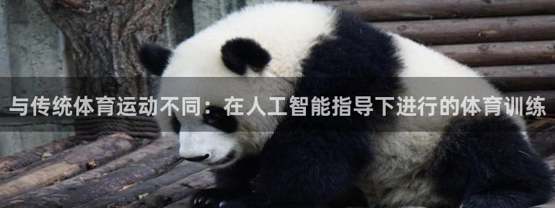 哈哈体育下载