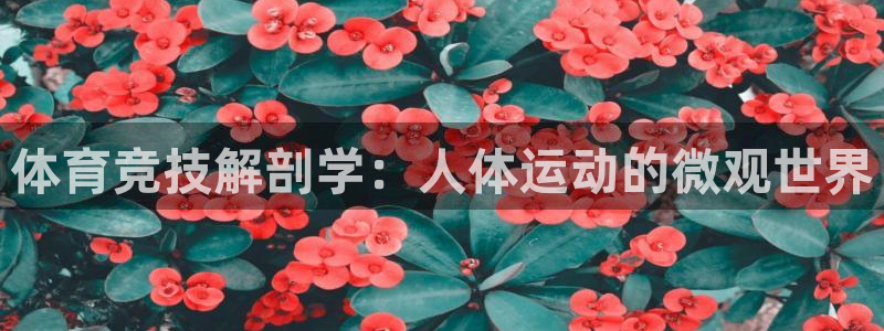 哈哈体育