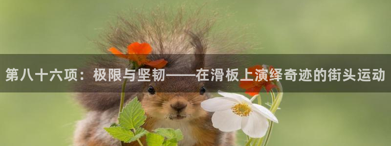哈哈体育下载