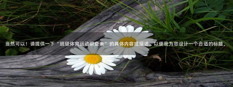 哈哈体育下载