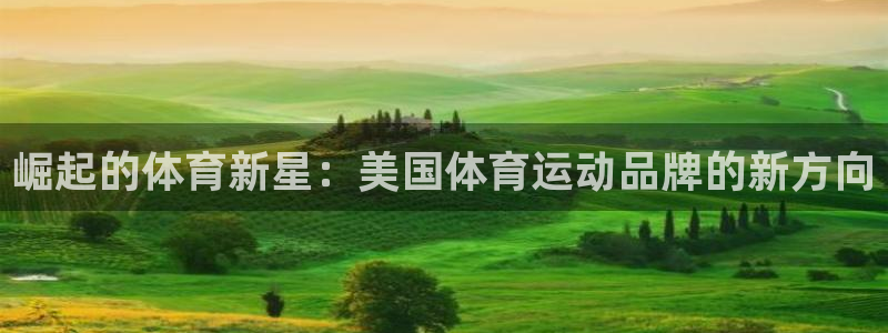 哈哈体育十年