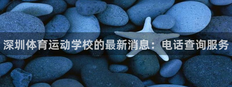 哈哈体育下载