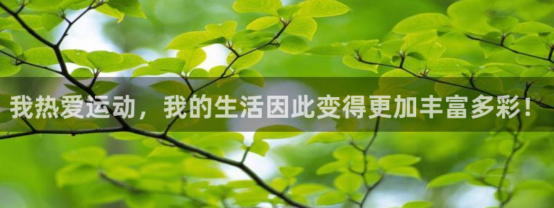 哈哈体育