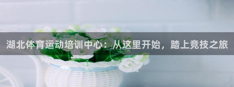 哈哈体育下载