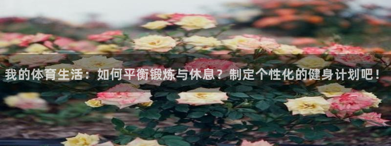 哈哈体育